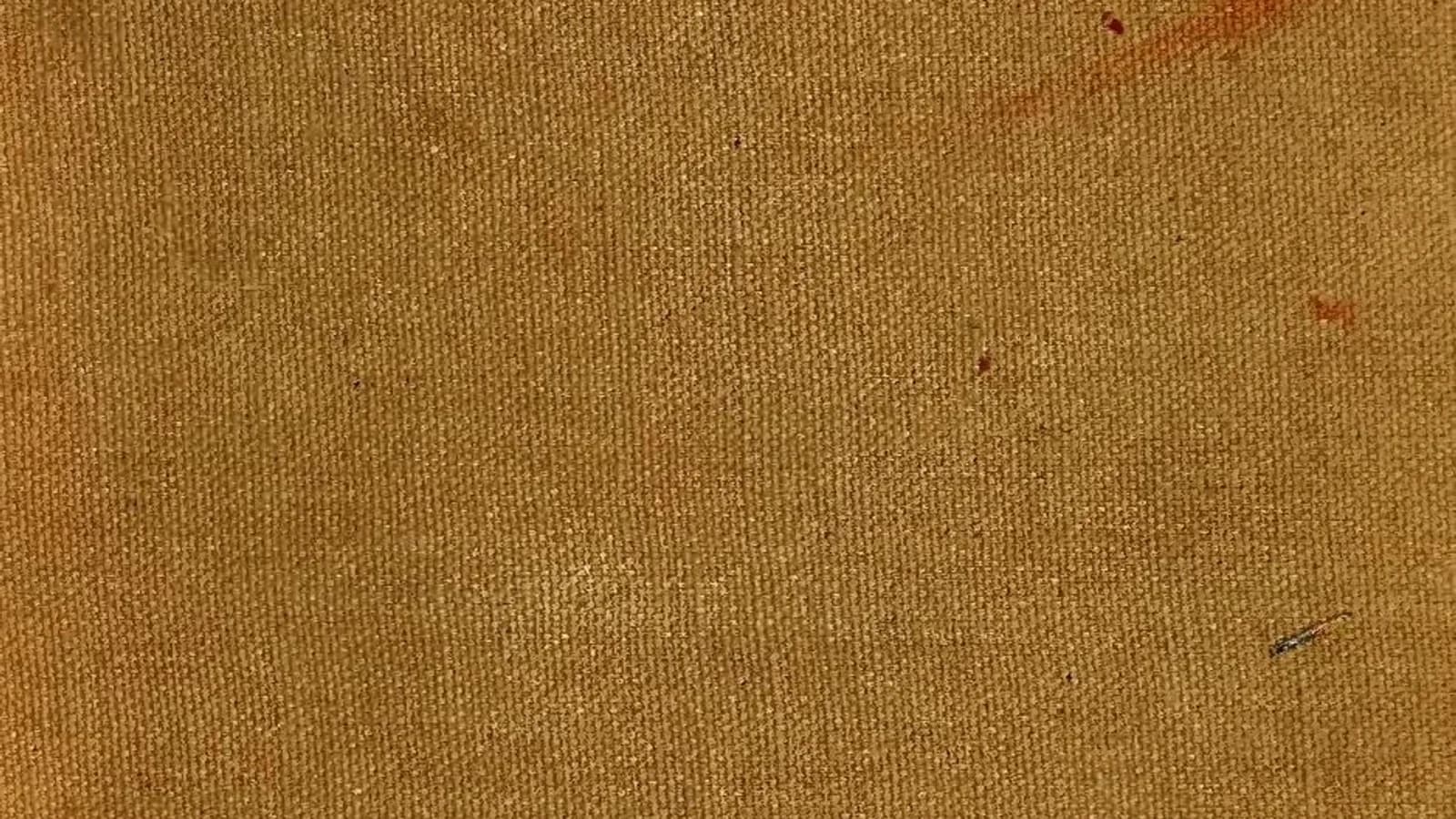 Apollo Beach overview