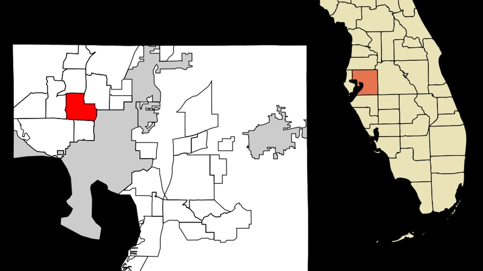 Carrollwood Tampa Bay